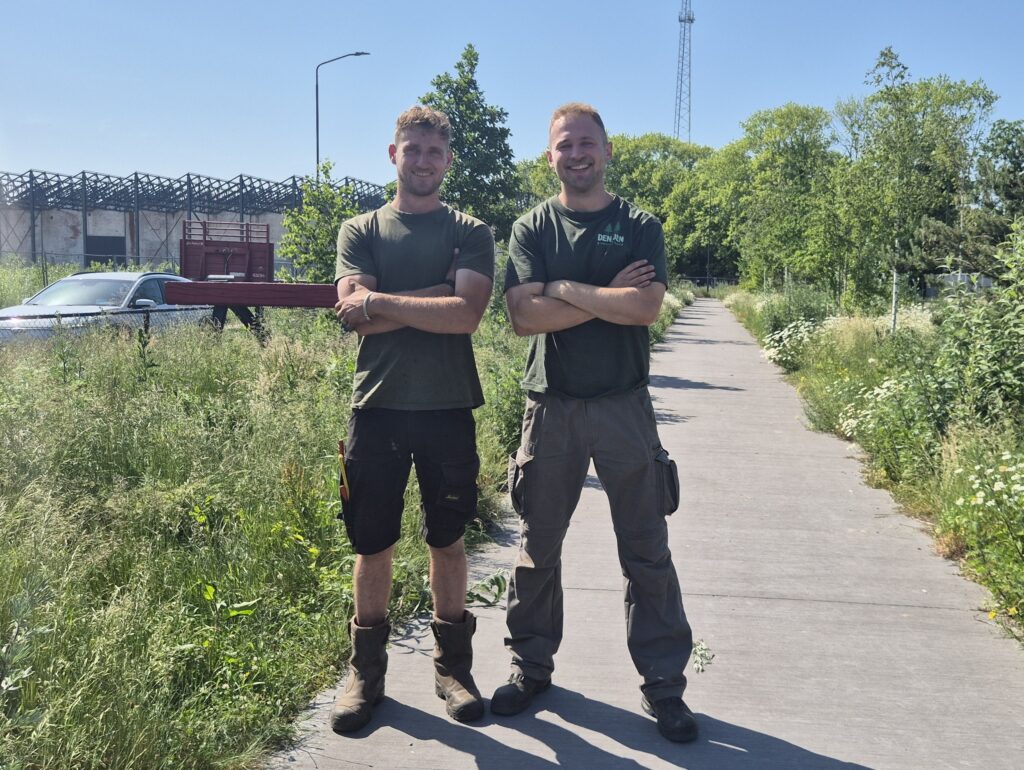 Tuinaanleg en tuinonderhoud door hovenier Den Den Groenvoorziening in Breda